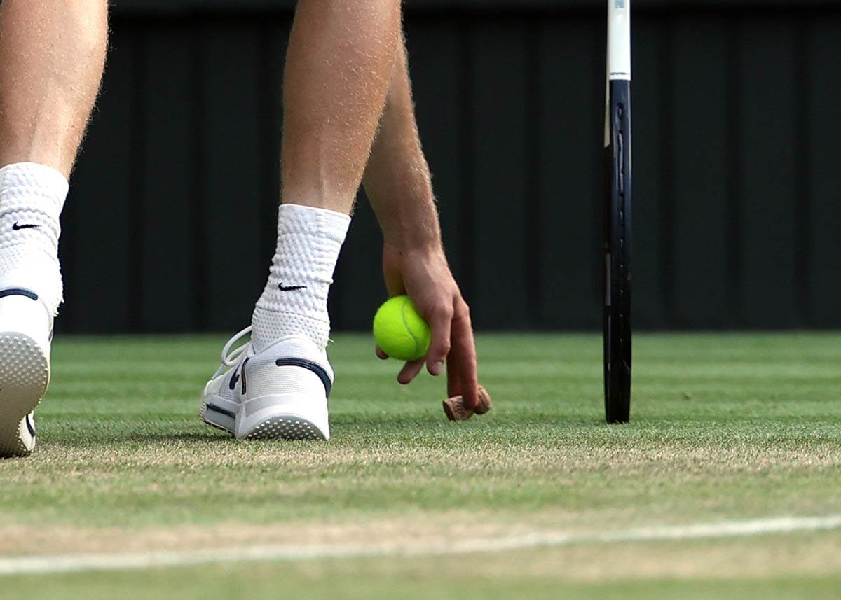 Karlos Alkaraz - Janik Siner  (3).jpg