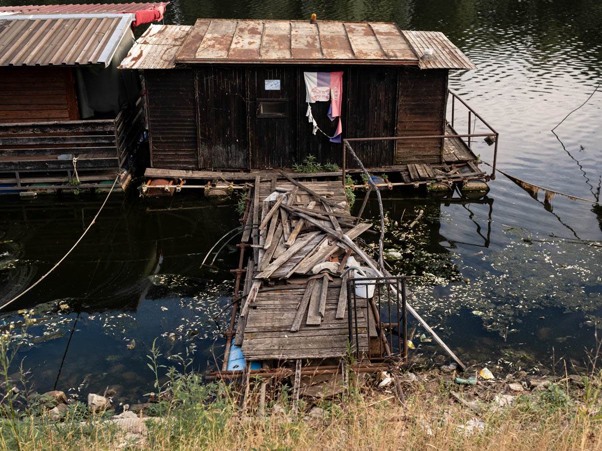 pomor_ribe_ada_ciganlija_stefan_stojanović- (8).jpg