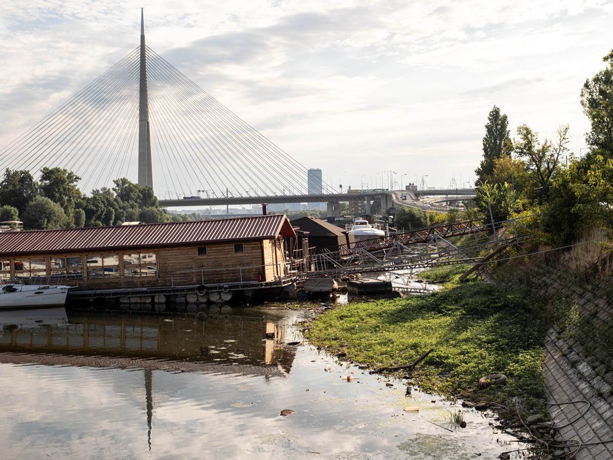 pomor_ribe_ada_ciganlija_stefan_stojanović- (2).jpg