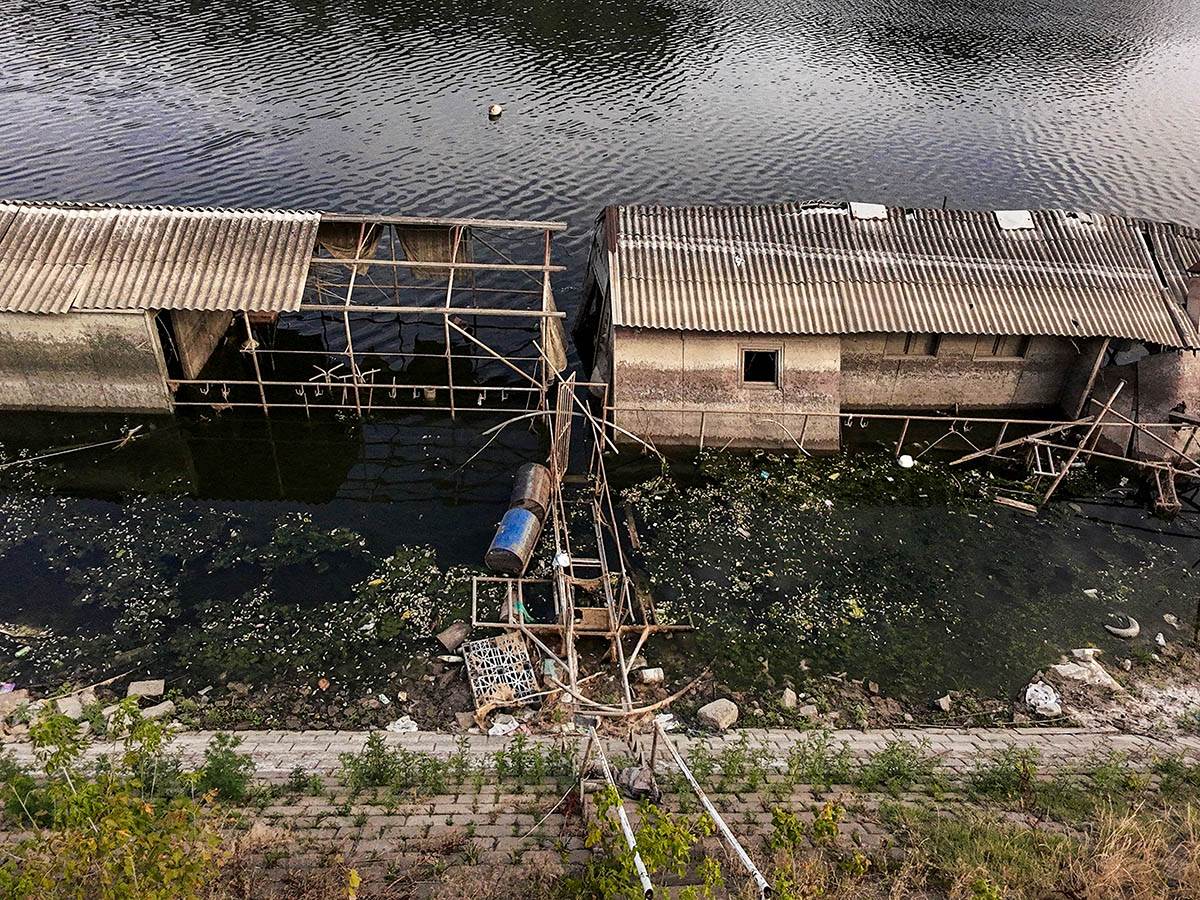 pomor_ribe_ada_ciganlija_stefan_stojanović- (1).jpg