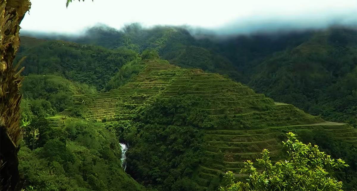 Pirinčane terase na Filipinima (2).jpg