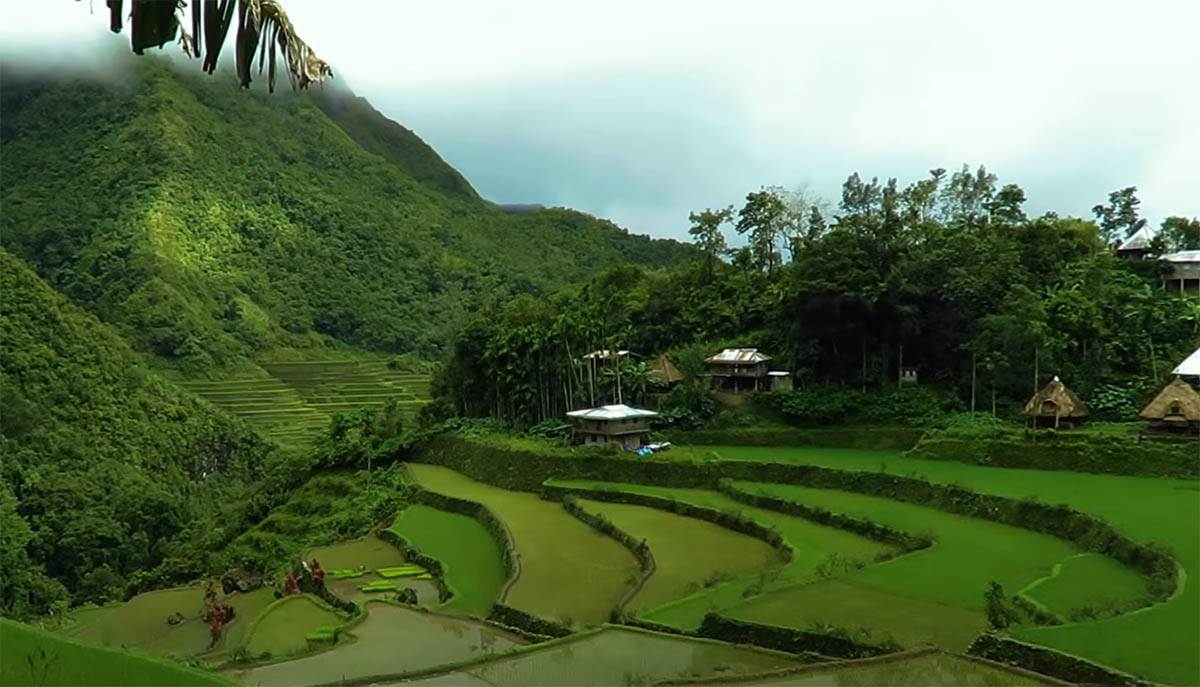 Pirinčane terase na Filipinima (8).jpg