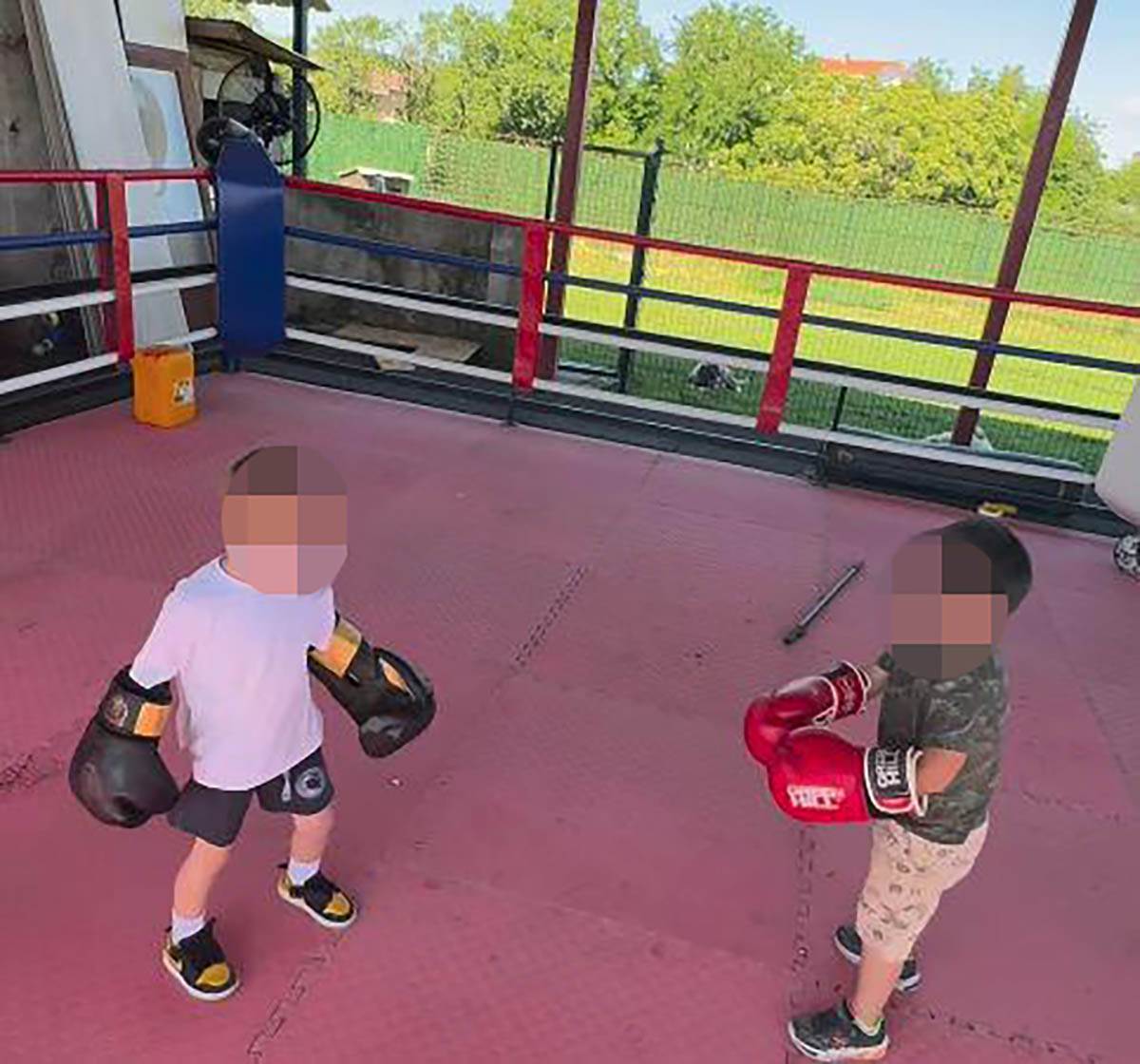 Sin Veljka Ražnatovića (3).jpg