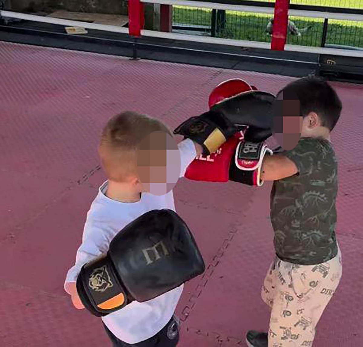 Sin Veljka Ražnatovića (6).jpg