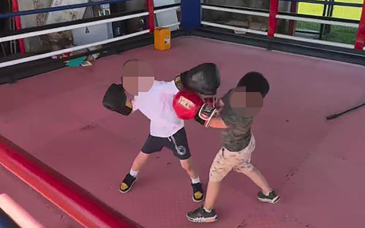 Sin Veljka Ražnatovića (8).jpg