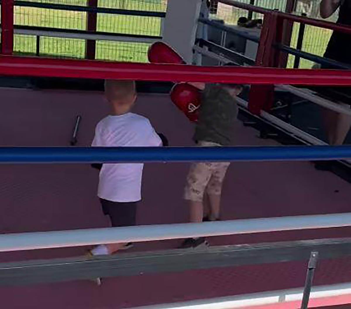 Sin Veljka Ražnatovića (10).jpg