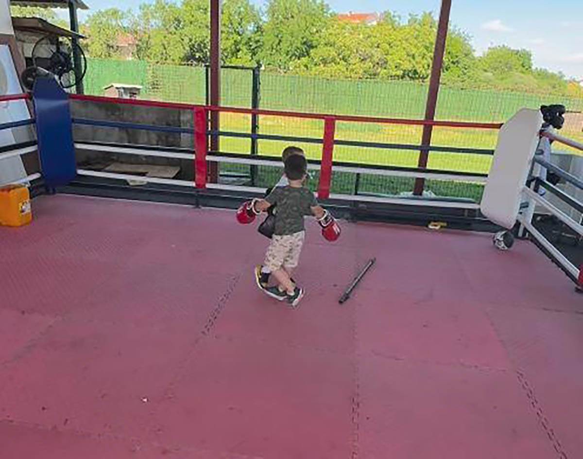 Sin Veljka Ražnatovića (1).jpg