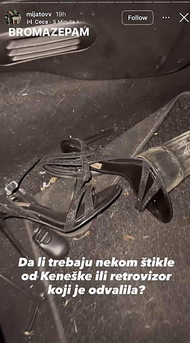 Dragomir Mijatov slike Ivana (1).jpg