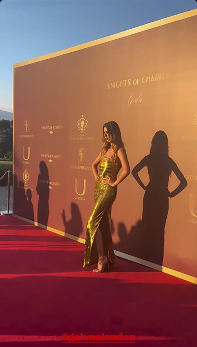 Helena Getsbi na humanitarnoj večeri (1).jpg