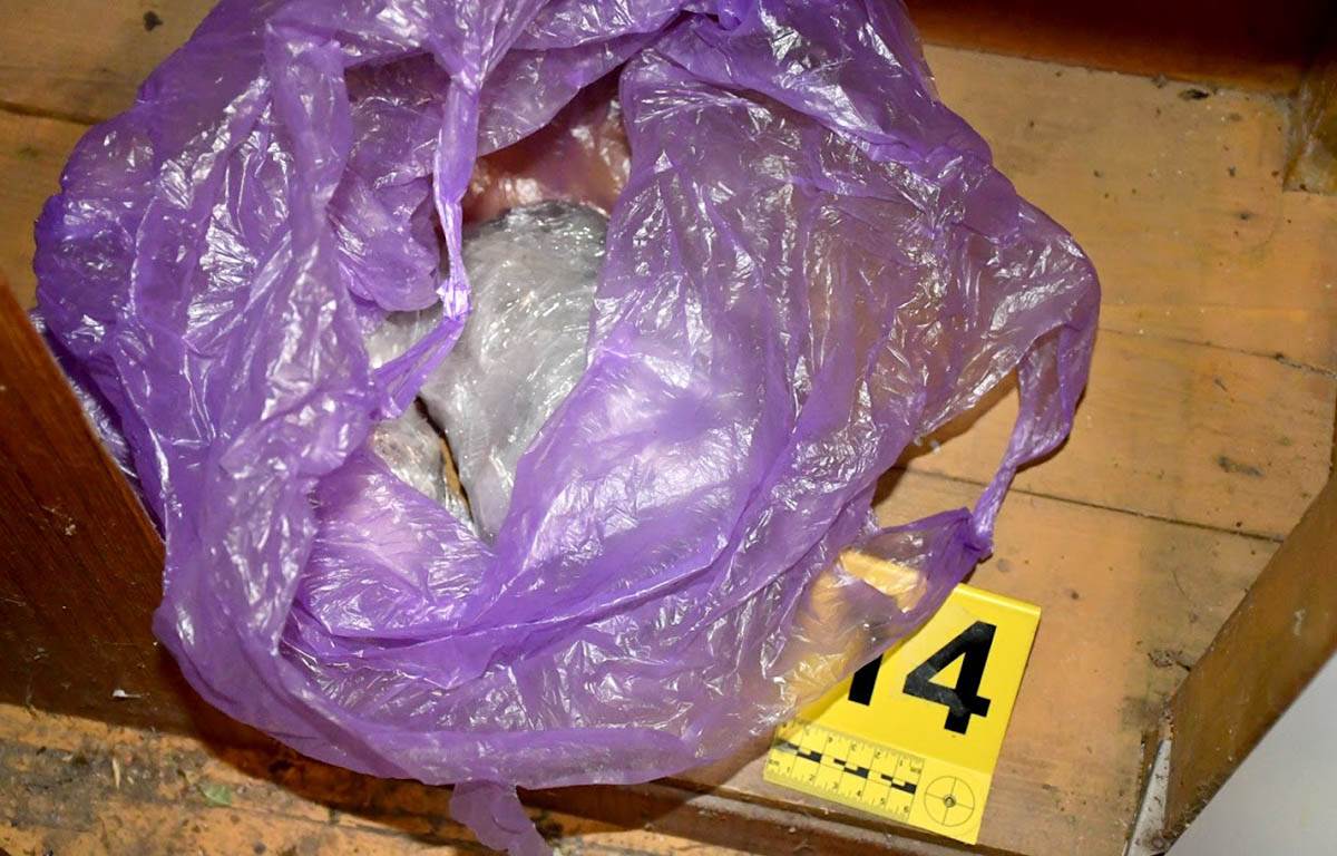 zaplena droge (3).jpg