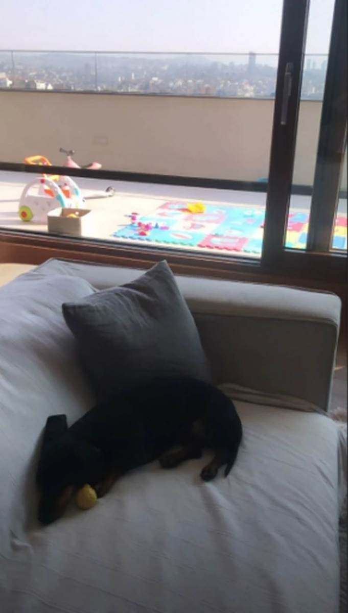 Penthaus Jelisavete Orašanin (3).jpg