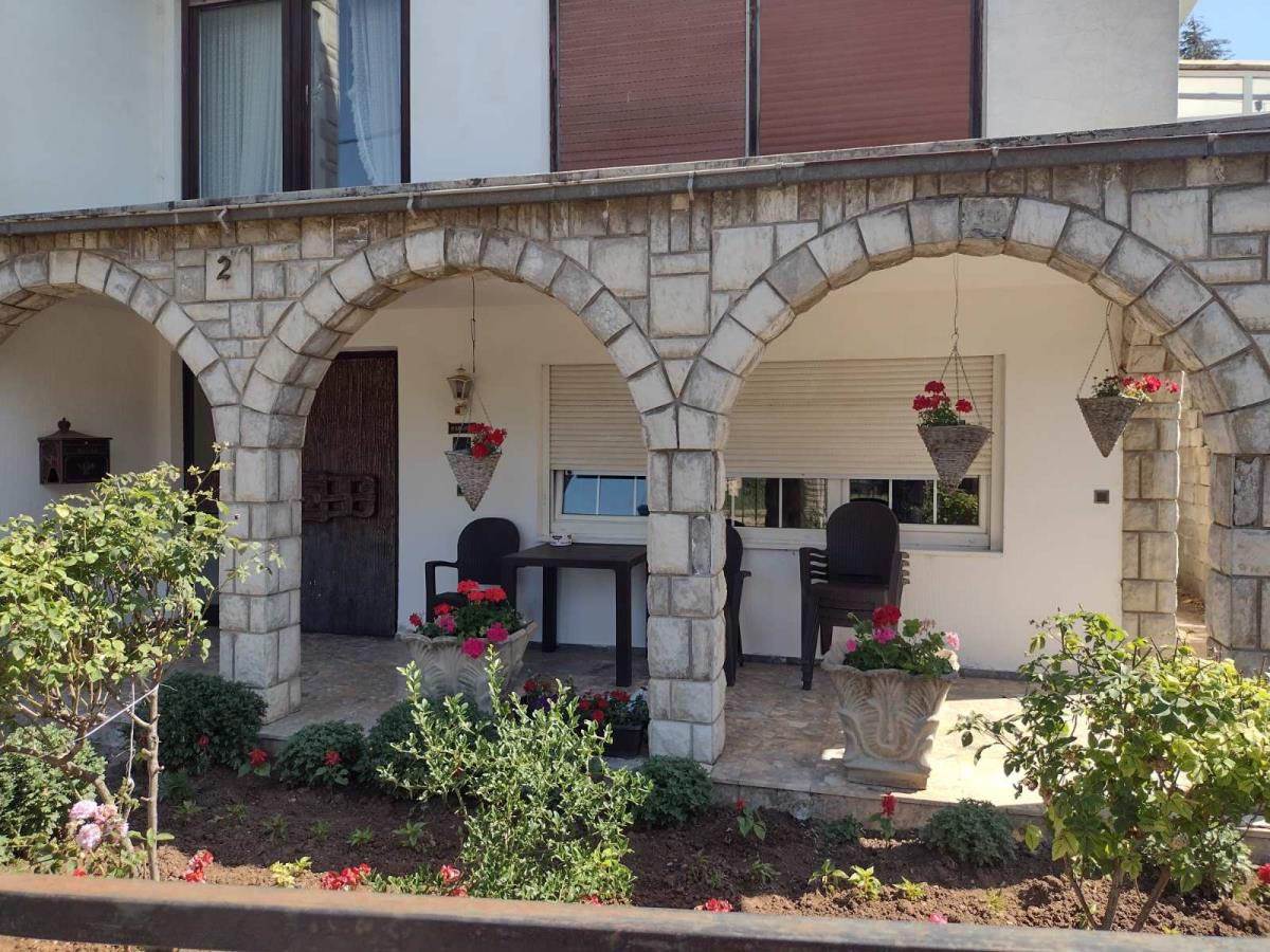 Aleksa Milojević (2).jpg