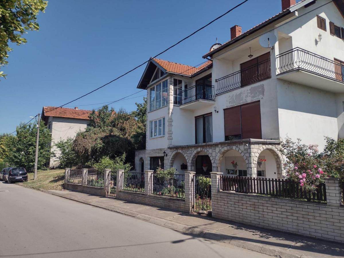 Aleksa Milojević (3).jpg