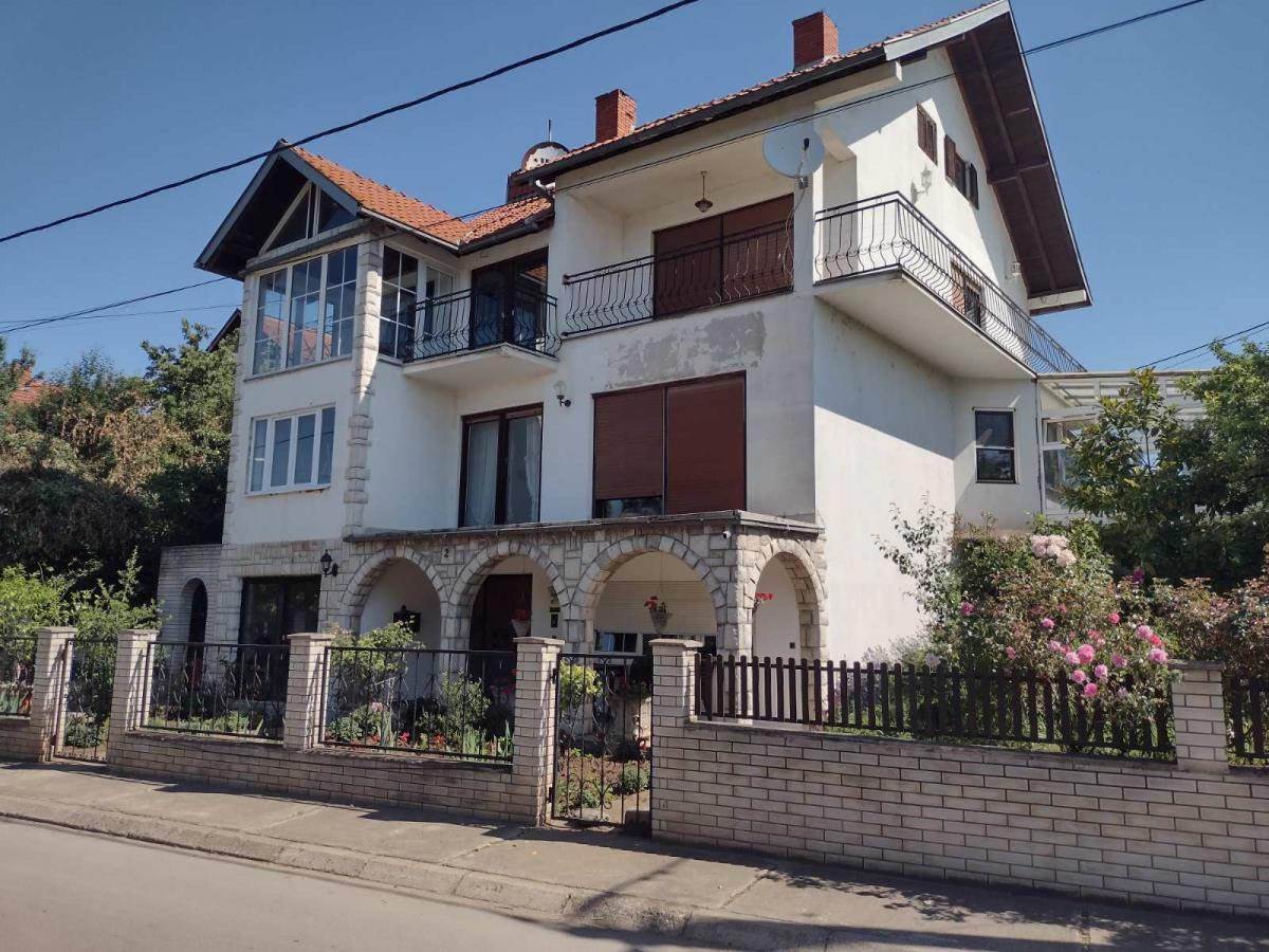 Aleksa Milojević (4).jpg