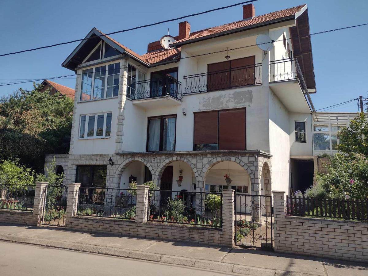 Aleksa Milojević (5).jpg