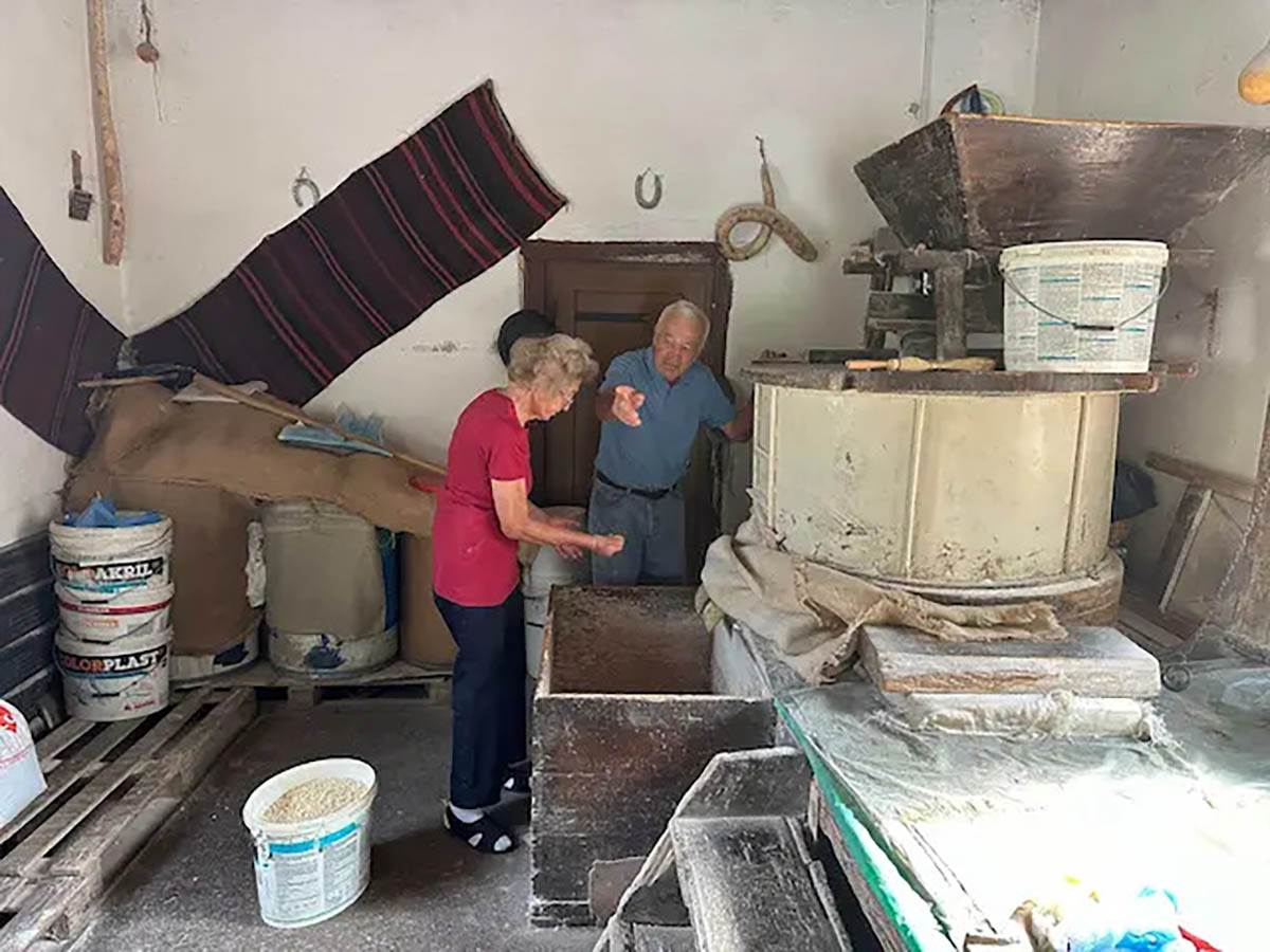 Gordana Petrović nasledila vodenicu (3).jpg