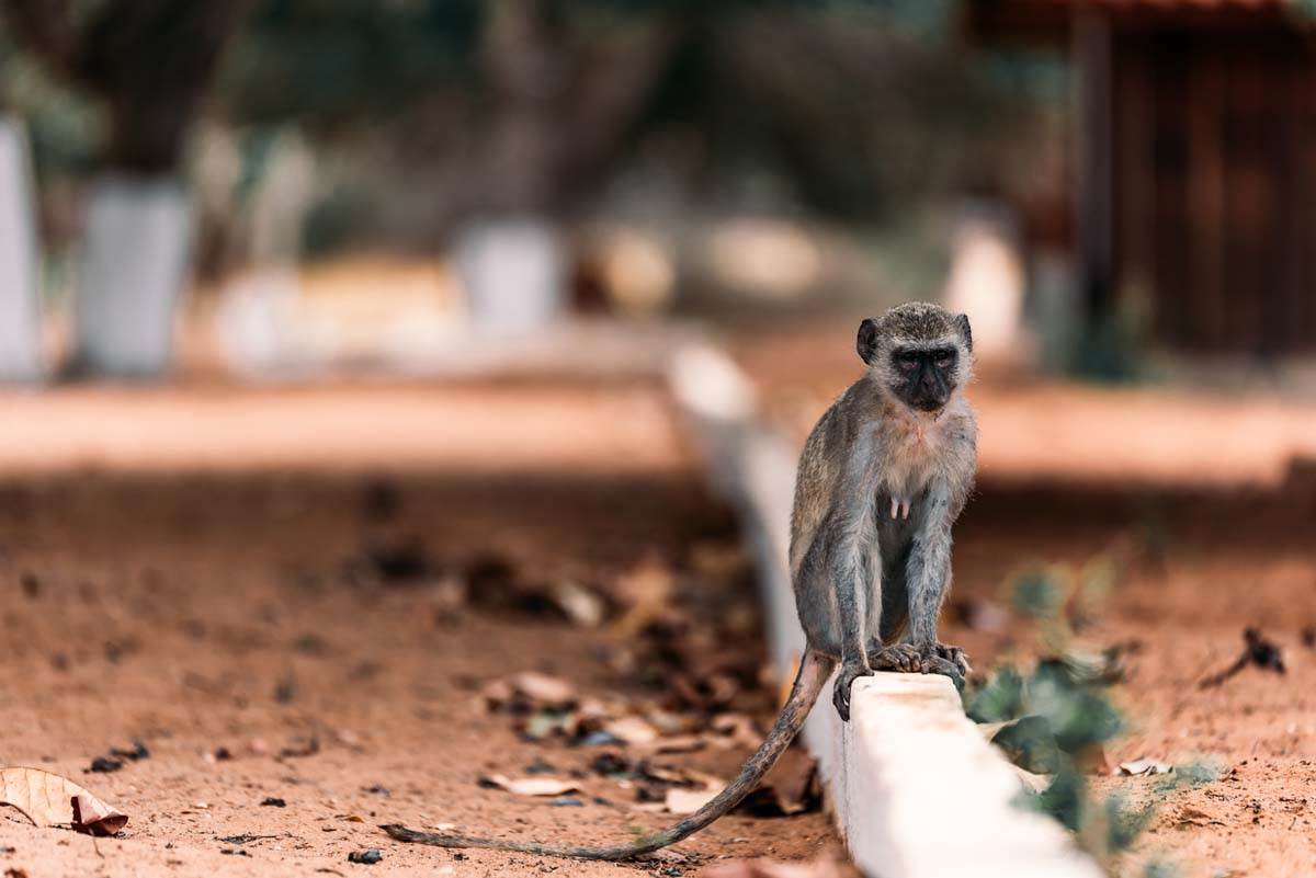 quicama national part 3.jpg