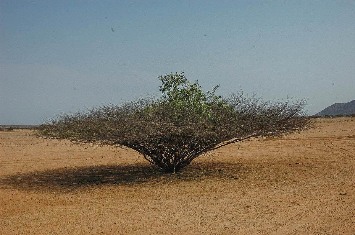 iona national park 2.jpg