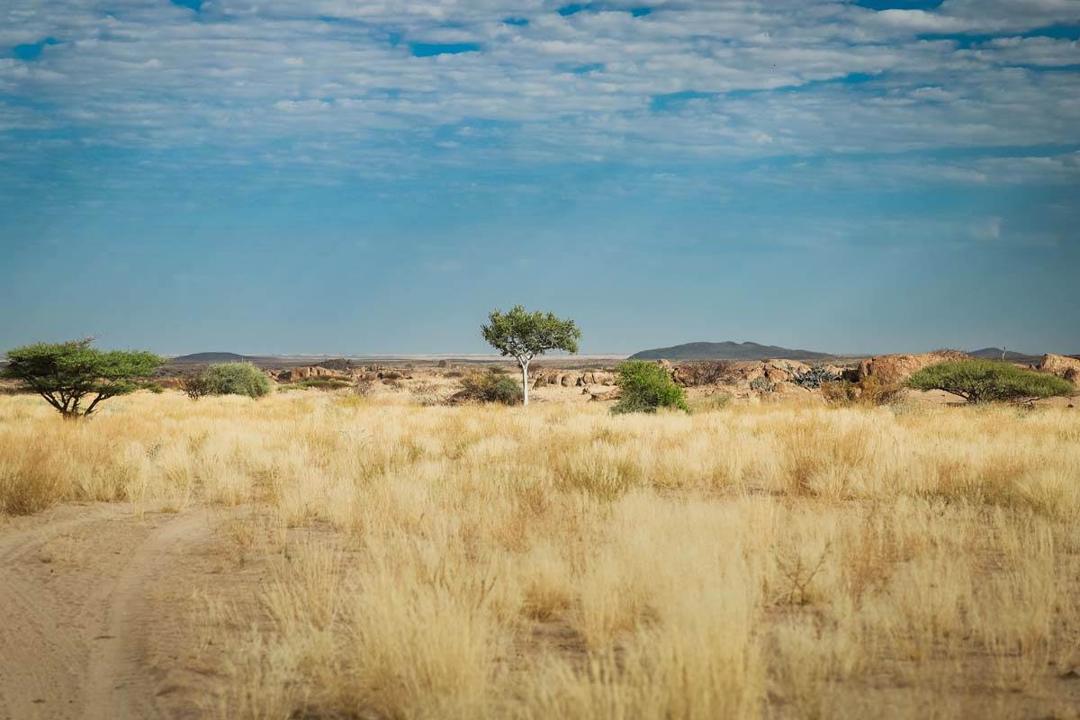 iona national park 4.jpg