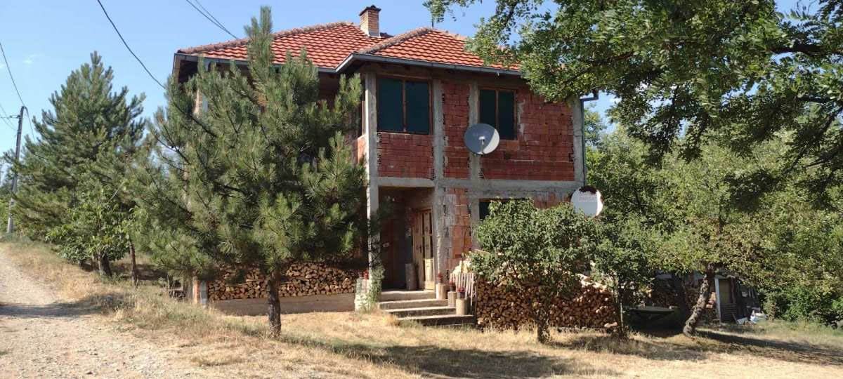 Ubistvo u Nišu (5).jpg