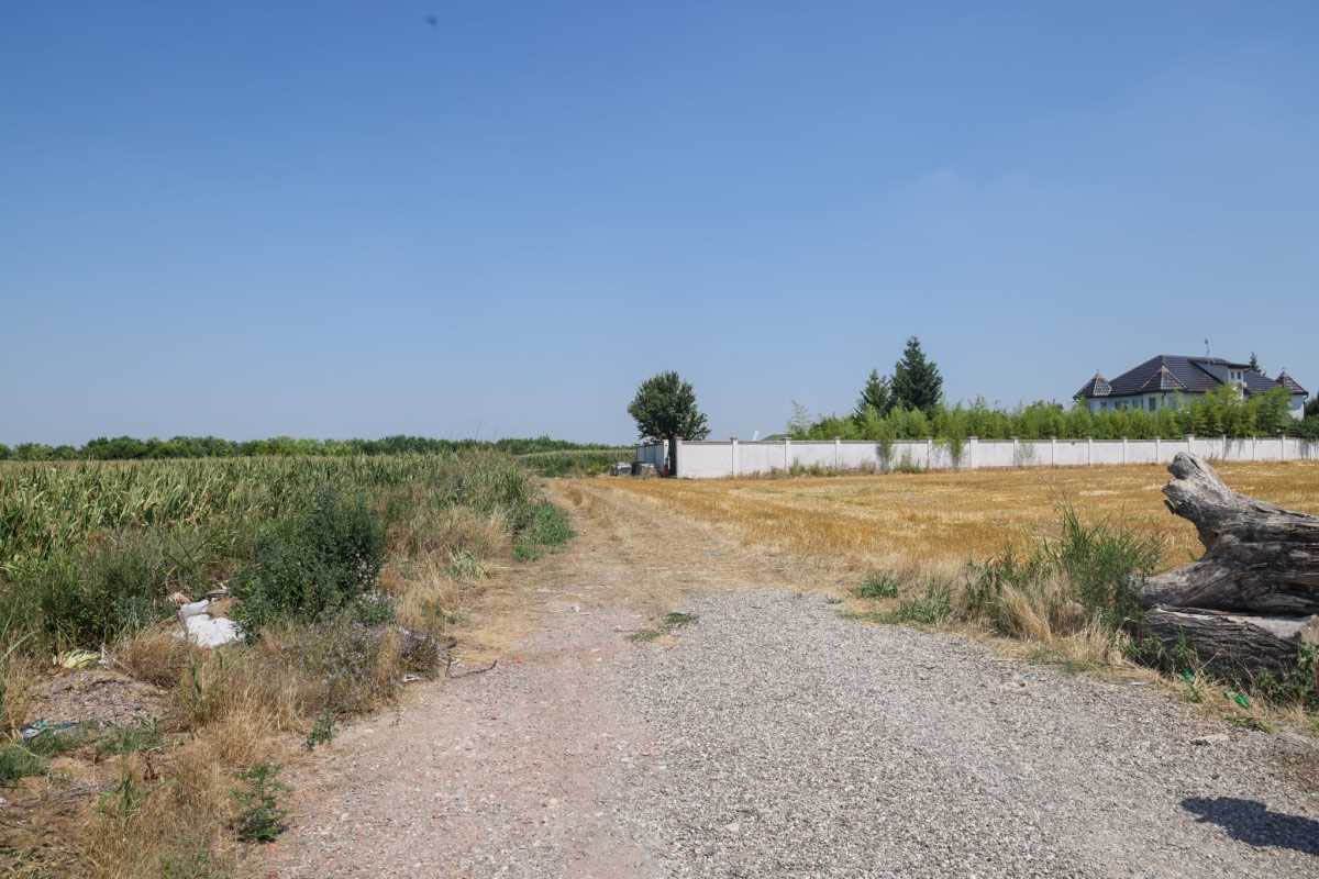 ubistvo kod Stare Pazove (2).jpg