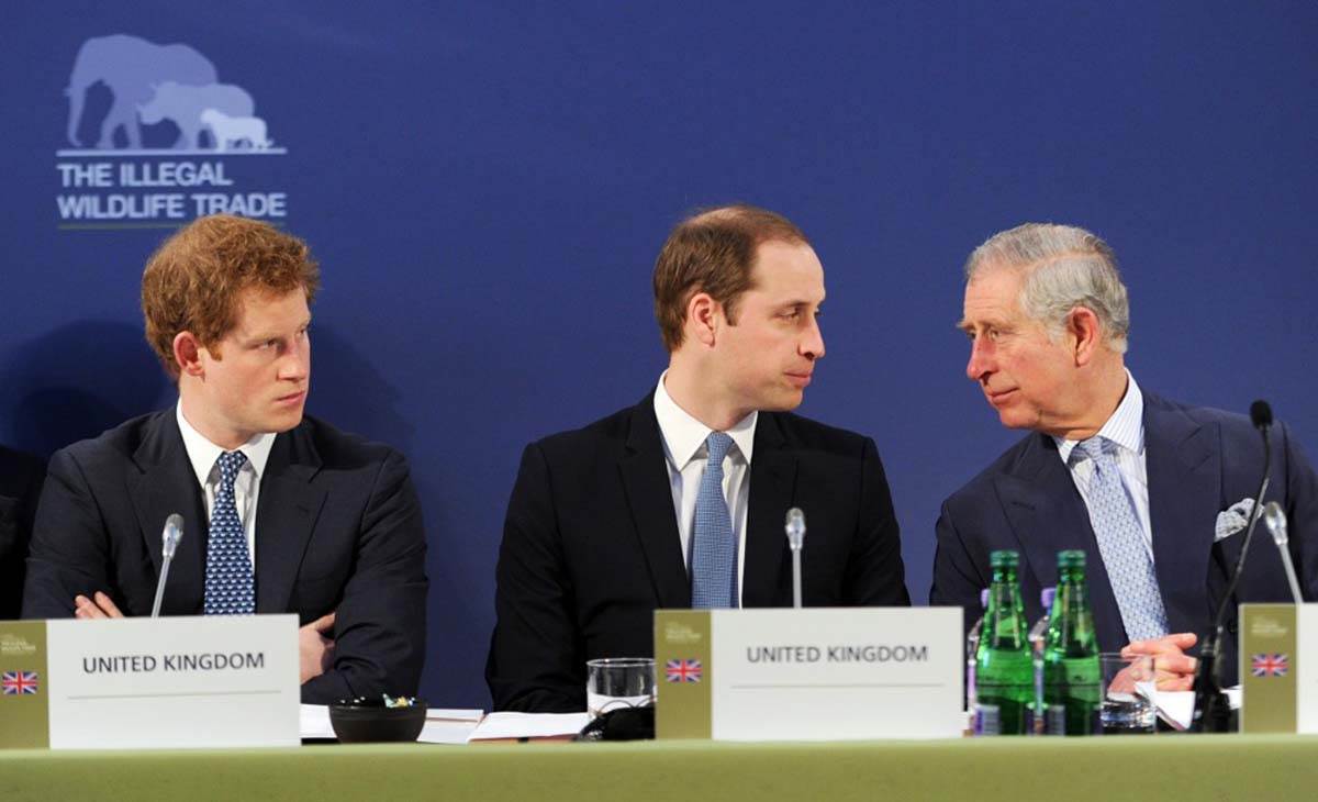 princ Hari princ Vilijam kralj Čarls 4.jpg