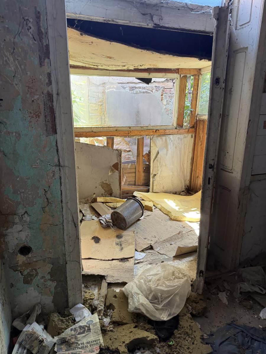 Predrag Živković Tozovac kuća  (5).jpg