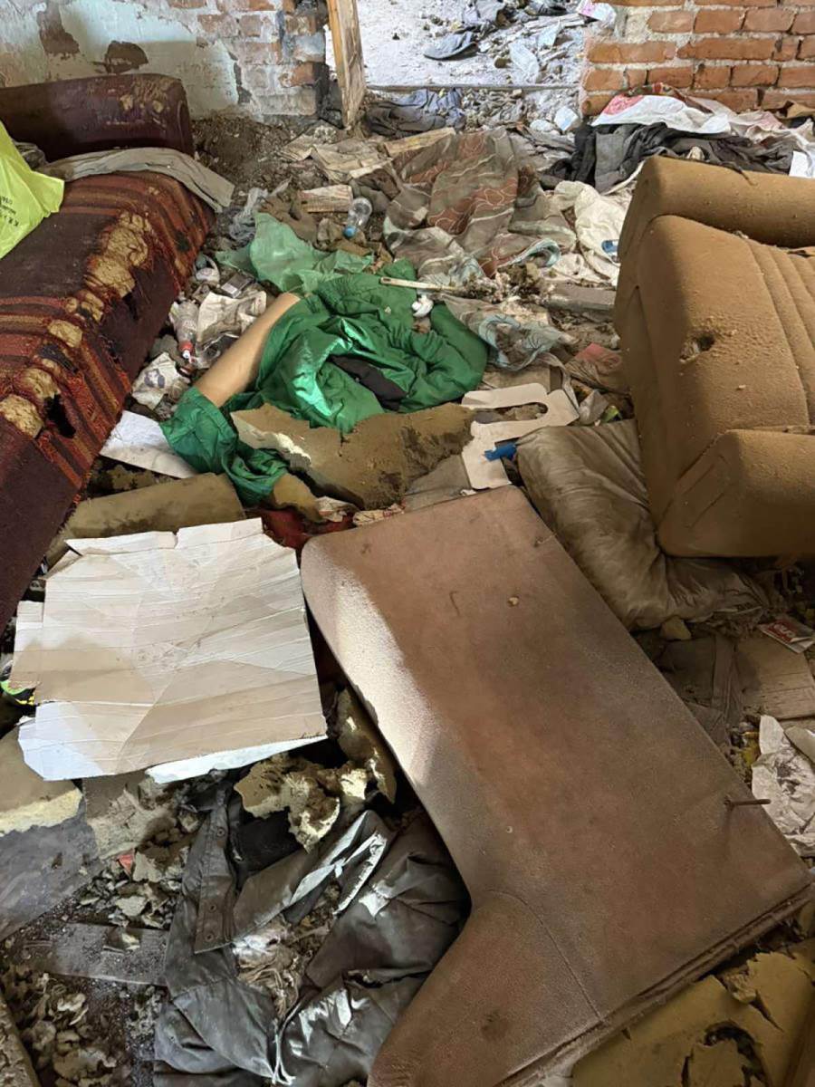 Predrag Živković Tozovac kuća  (10).jpg