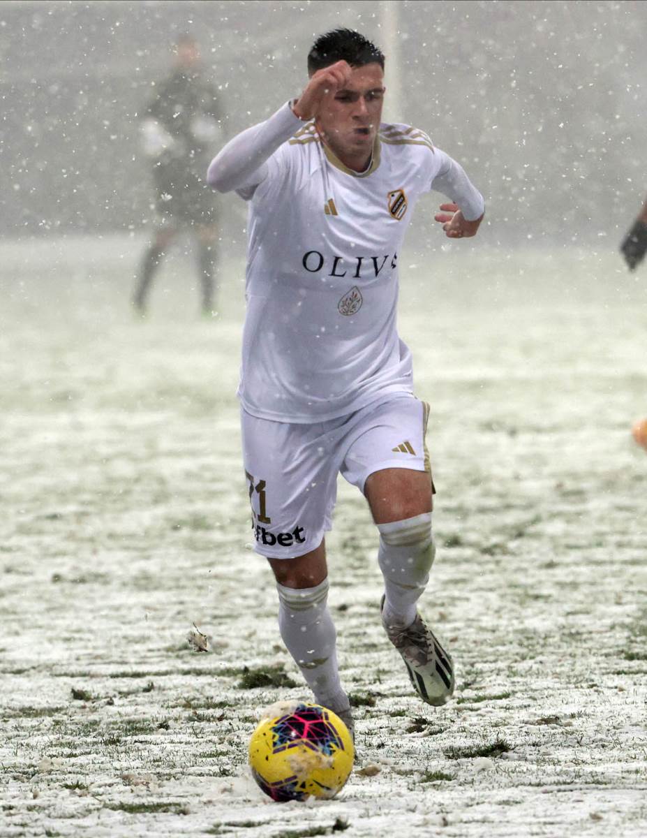 Nikola Stanković (1).jpg