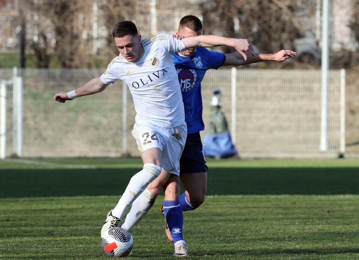 Nikola Stanković (3).jpg