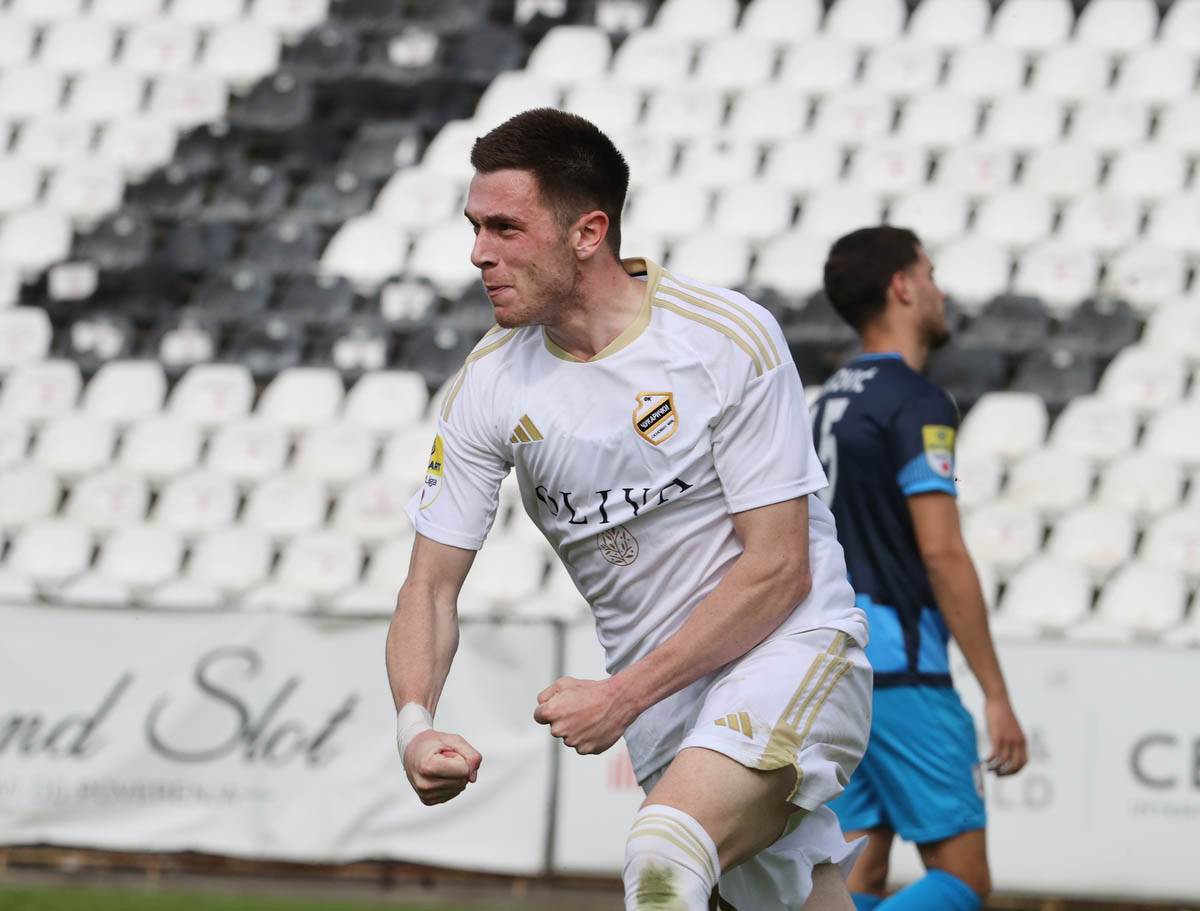 Nikola Stanković (8).jpg