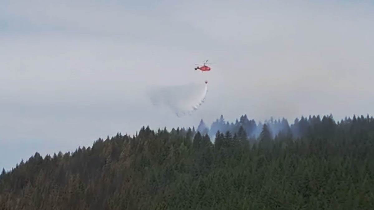 požar Kamena Gora  (6).jpg