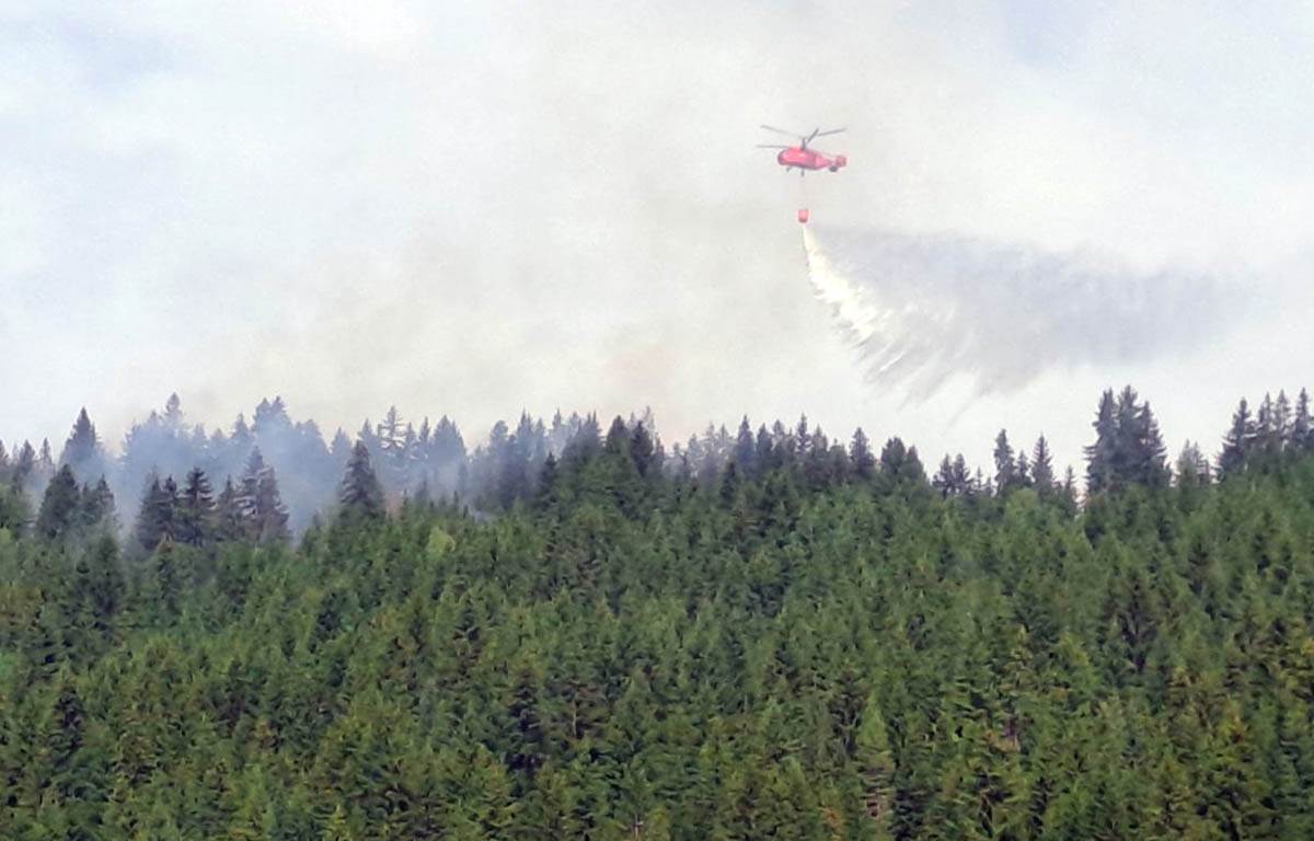 Požari u Srbiji (4).jpg