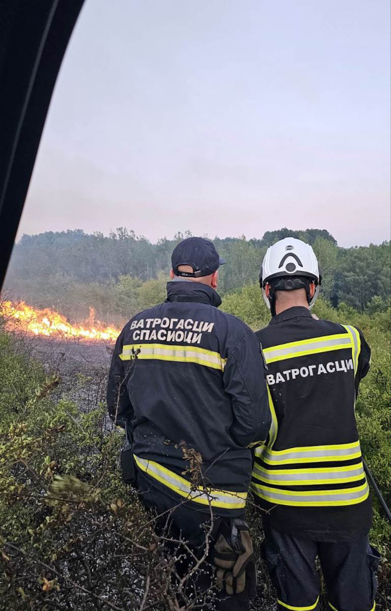 Požari u Srbiji (1).jpg