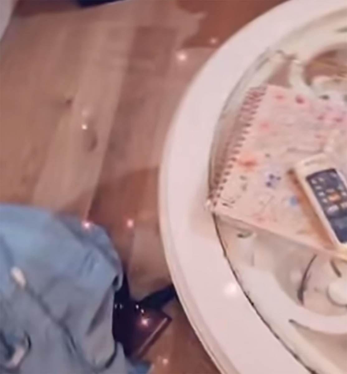 Stan Ane Nikolić (6).jpg