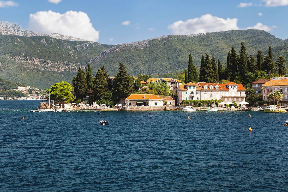 Rose, Luštica (2).jpg