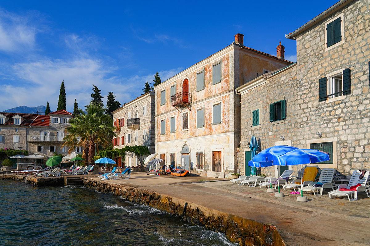 Rose, Luštica (3).jpg