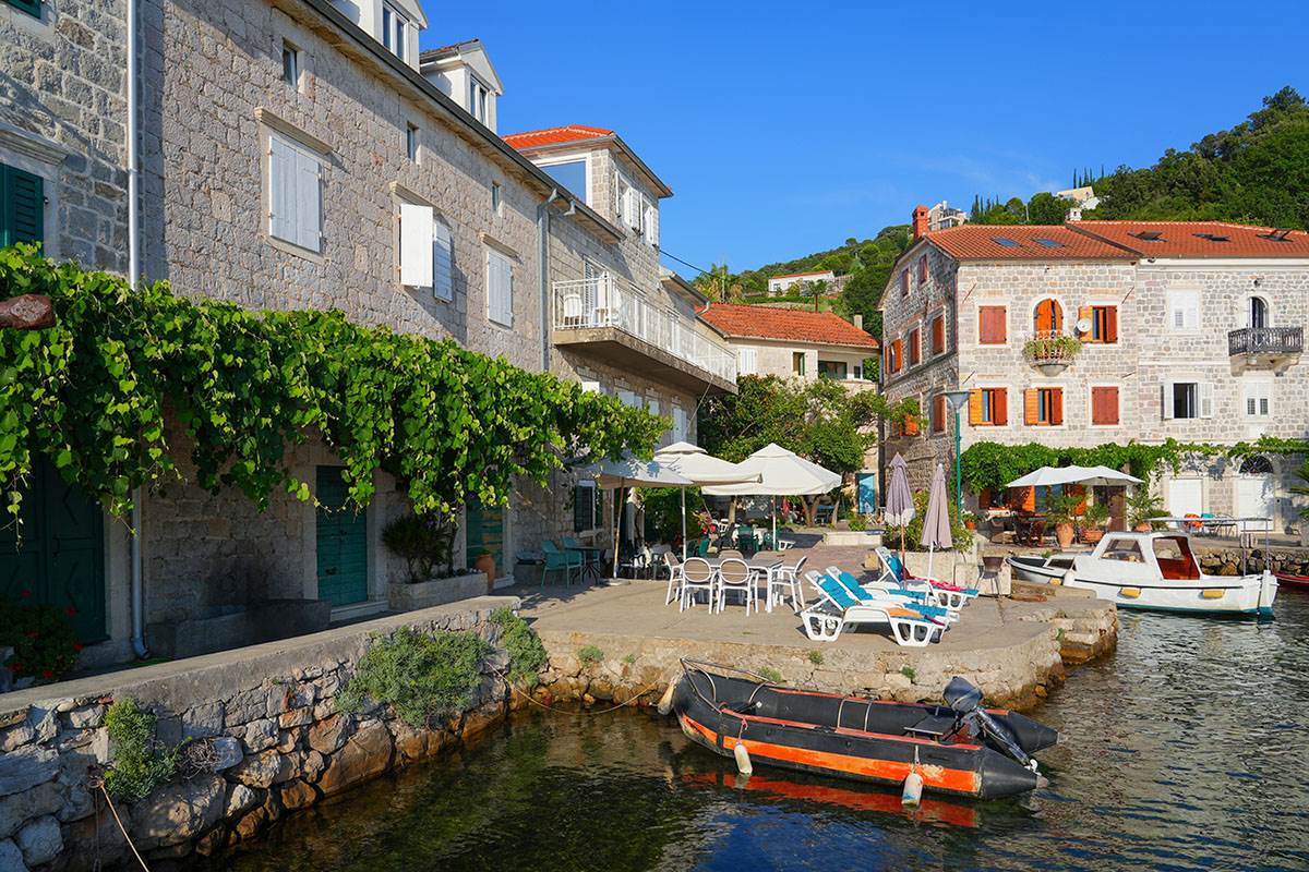 Rose, Luštica (9).jpg