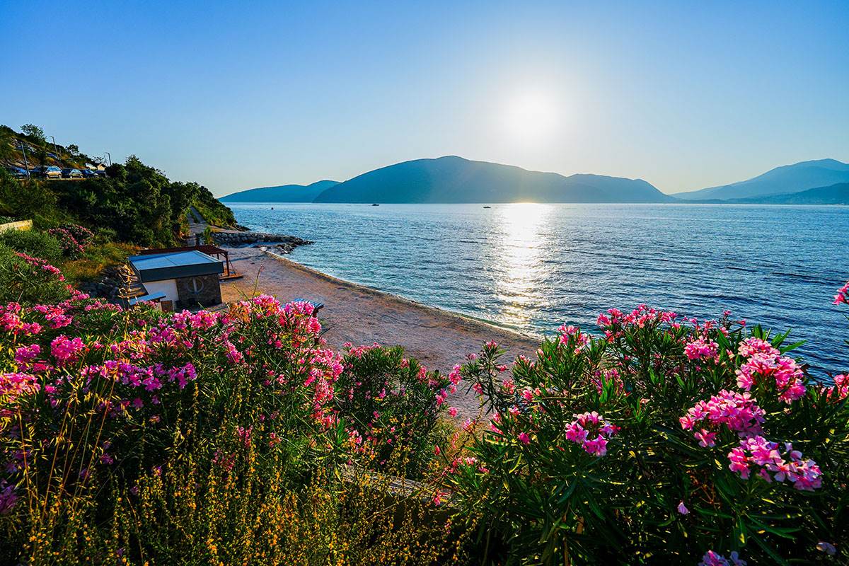 Rose, Luštica (10).jpg