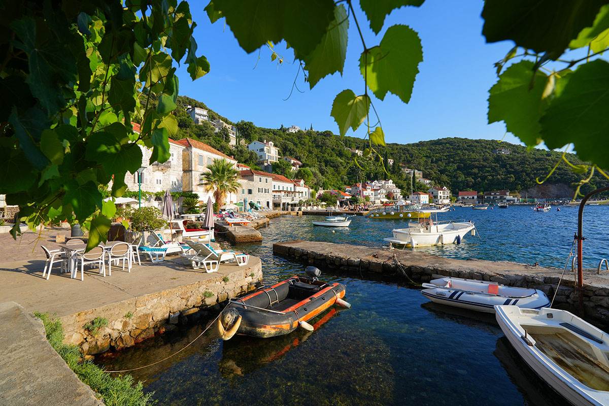 Rose, Luštica (11).jpg