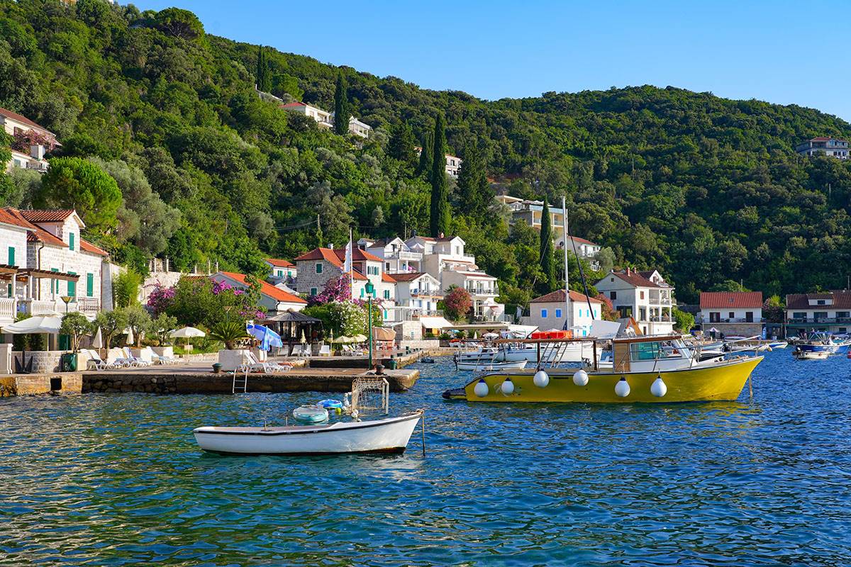 Rose, Luštica (12).jpg