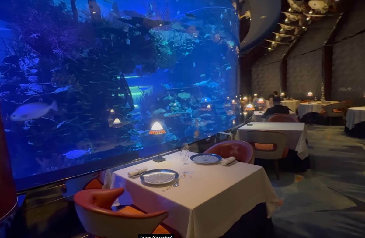 Hotel u Dubaiju sa sedam zvezdica (3).jpg