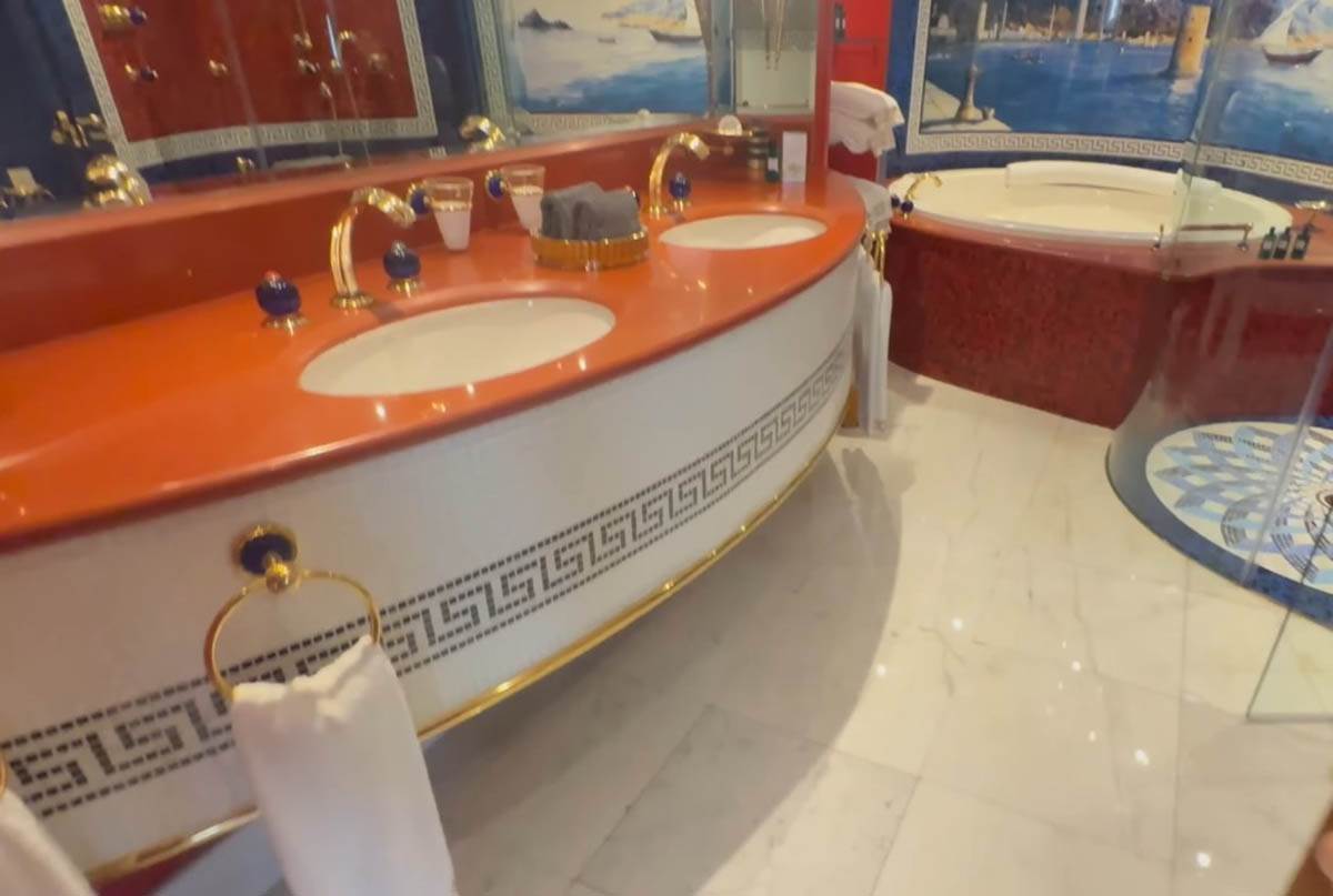 Hotel u Dubaiju sa sedam zvezdica (15).jpg