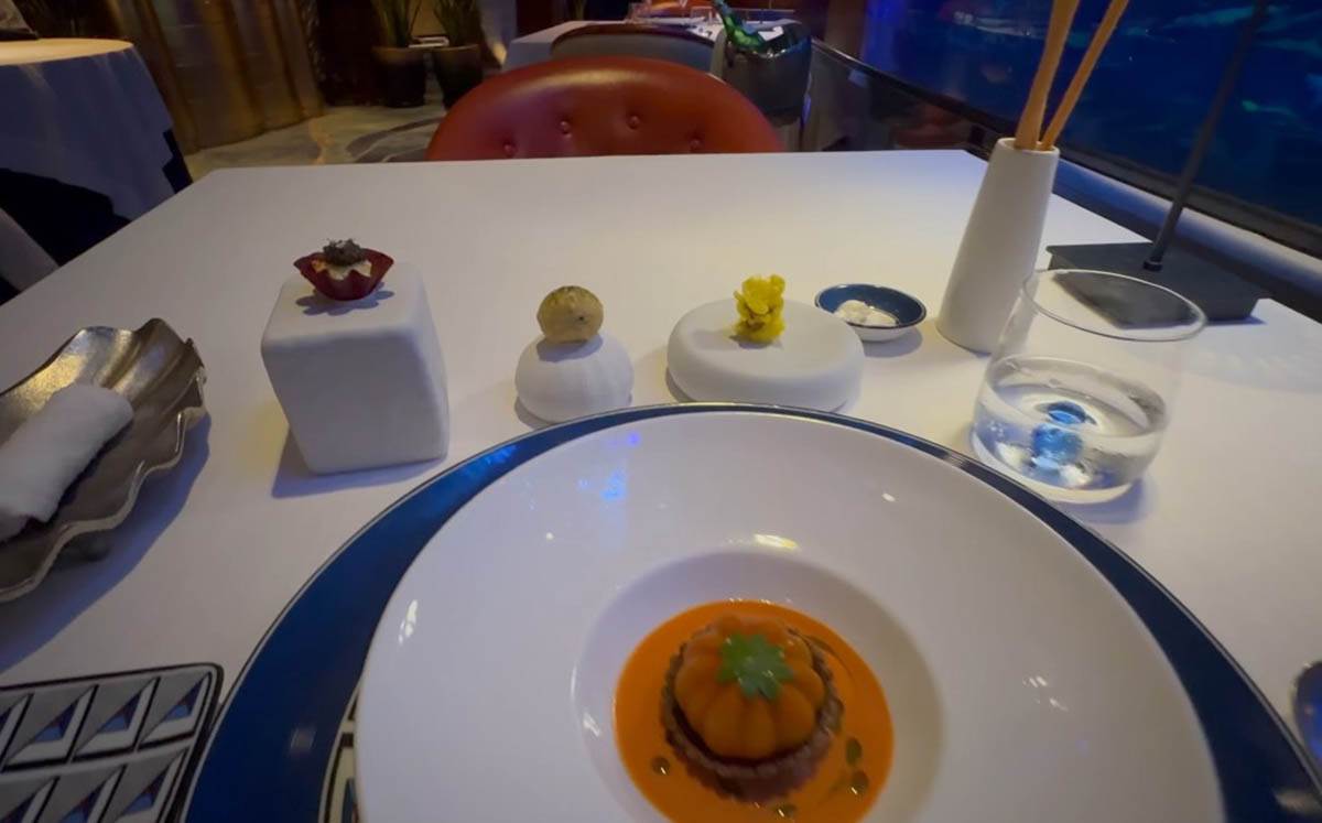 Hotel u Dubaiju sa sedam zvezdica (19).jpg