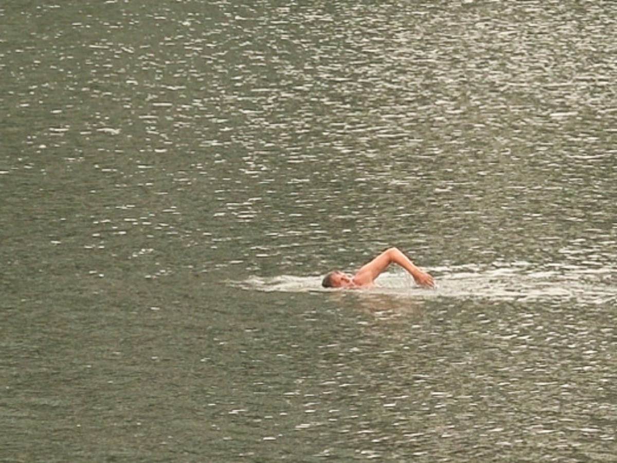 Stari savski most uklanjanje (4).jpg