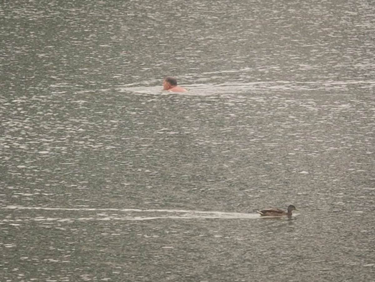 Stari savski most uklanjanje (5).jpg