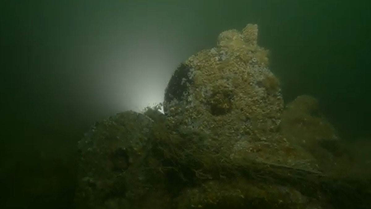 Northumberland olupina (1).jpg