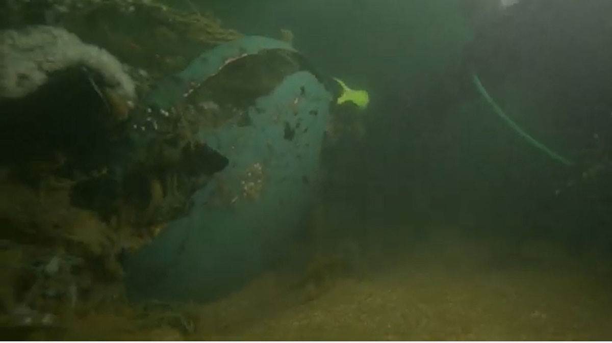 Northumberland olupina (2).jpg