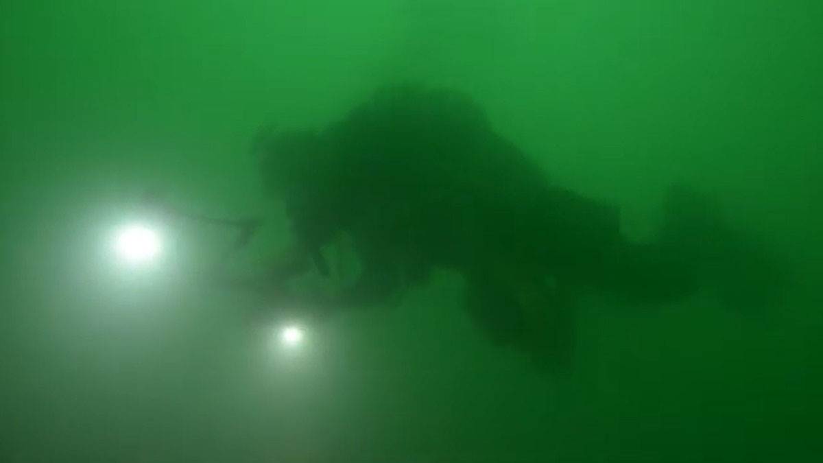 Northumberland olupina (3).jpg