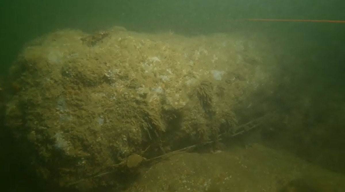 Northumberland olupina (4).jpg